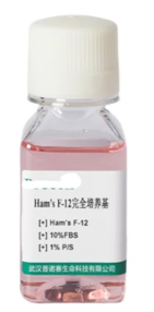 ada485000e1704eca81e36638c700aa3_1719370150125071.png