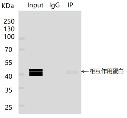 76645a4b9aea85760ba140204c2d571d_1719976912173323.png