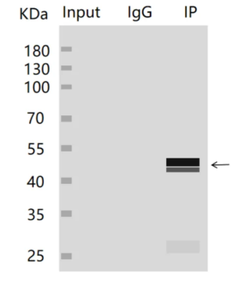 650159aa9df529ae7ecad5b138c961fb_1719976944758227.png