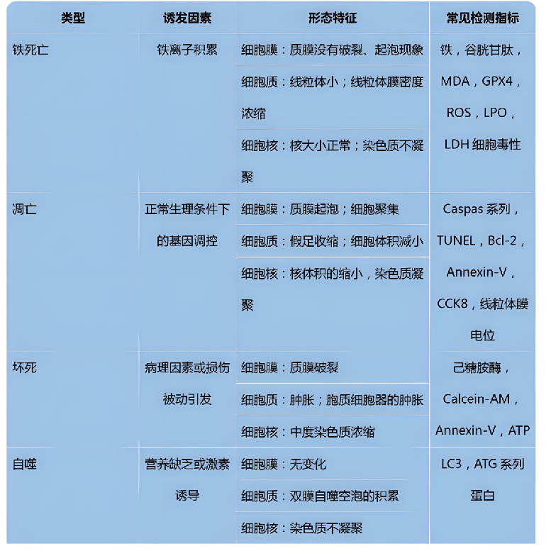 40c9b2000b51073156bf66a8b96beb1d_1721097826945994.png
