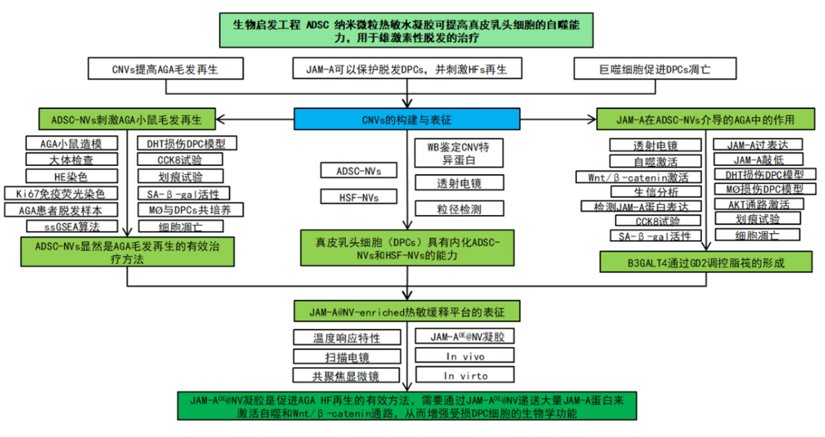 e869ba9bd5d1761554d1b5cf468ecabe_1730715977224742.png