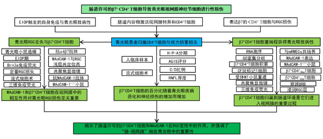 3c330f9545b181cab4a28b7c56960ba6_1731317655366754.png