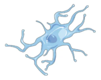 0b924d47e5e3e6f6f057c75b8e2a6909_1733902896316978.png
