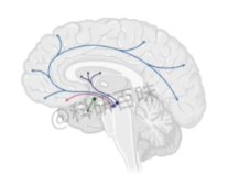 9aa0484780bc630a9ee56fa6eb52309a_1733902961591866.png