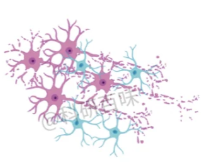 72202b25ab232ed04a24eb0a2887a18f_1733903030195059.png