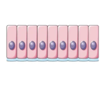 c2e12db17872ff4b590c940081a617f6_1733903149150131.png