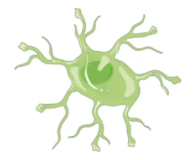 a12b85c1e66f5b0b6a320dd2166a022f_1733902889117984.png
