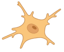 951ddc56ca03bd403eee4ee9454a1429_1733902907507549.png
