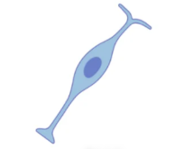 b93b215c5d588e5d00827ede807eb142_1733902937163588.png