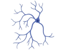 36a0ba7aa9428330c227438b1f85525e_1733902952197372.png