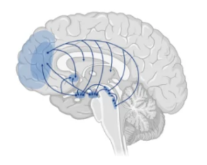 53562482218b9be2682467bb5ad54278_1733902971202339.png
