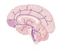 a2c20d09bf56833b908b633c382cb8af_1733902986224142.png