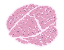 588560b9a23c2866e32d700ea94677d9_1733903069380404.png